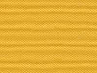  Masacril 2013 Amarillo